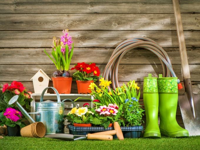 Bonus Verde: per aree verdi, coperture e giardini pensili