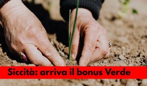 Allarme siccità: come ottenere il bonus Verde 2022 - Ck12 Giornale