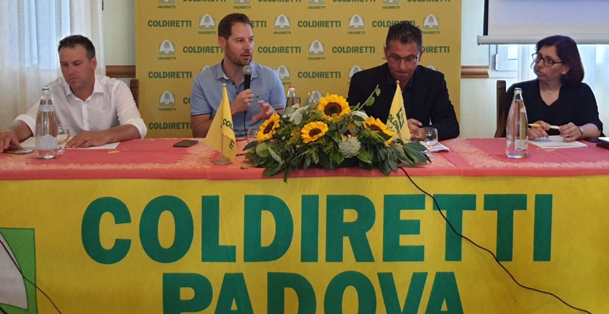 Caldo e siccità, invenduto il 30% di fiori, piante e ortaggi. Allarme di Coldiretti - TG Padova