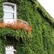 Come risparmiare sul climatizzatore grazie a tetto e pareti verdi - la Repubblica