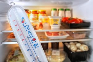 Temperatura del frigo: come impostarla correttamente? - Il Salvagente