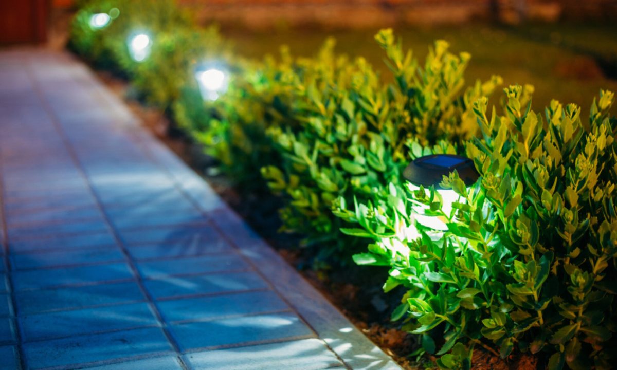 Tutti i segreti per illuminare il giardino con risultati straordinari - BariLive.it