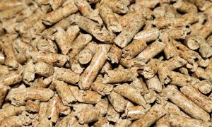 Bonus Stufa a Pellet: che cos’è, importi e come richiederlo - Il Corriere della Città