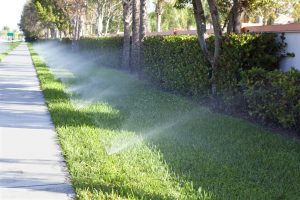 Bonus Verde e Giardini: tutte le agevolazioni per irrigazioni, recinzioni e pareti verdi - Ediltecnico.it - il quotidiano online per professionisti tecnici