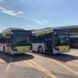 A Bergamo e provincia il 16 e il 17 settembre si viaggia gratis sugli autobus - BergamoNews.it