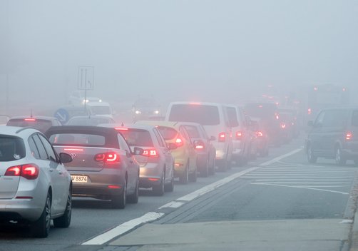 Bonus auto, gli ambientalisti ricorrono al TAR contro gli incentivi a combustione - Greenpeace