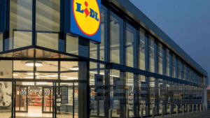 Lavoro Catania e provincia: LIDL, MediaWorld e Leroy Merlin assumono - Liveunict | Magazine sull'Università di Catania