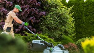 Vuoi un giardino sempre pulito e ordinato? Ecco quanto costa un giardiniere e come risparmiare - PgCasa