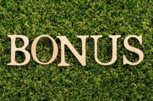 Bonus Verde 2023: quali sono i requisiti, gli importi e gli interventi riconosciuti; i dettagli - iLMeteo.it