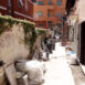 VIDEO | Un cantiere aperto al posto della propria casa: la storia di Simonetta, esodata dal superbonus - RomaToday