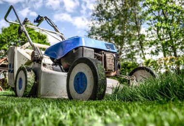 Bonus Verde 2023, come rinnovare il giardino senza stress: i dettagli dell'agevolazione