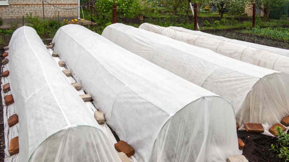 Giardino, progetti dei lavori? Non farlo senza prima informarti sugli aiuti che puoi richiedere