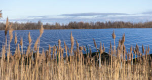 Agrivoltaico: arriva l’ok dalla UE per 1,7 miliardi di incentivi