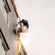 Caf Acli, nel mio condominio hanno iniziato dei lavori sulle parti comuni. Posso usufruire del bonus mobili per l’abitazione di cui sono proprietario? - Acli