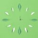 Direttiva Green in vigore: cosa succede adesso?
