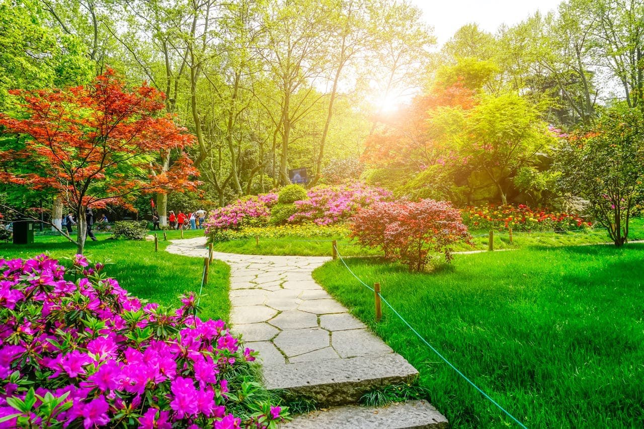 Bonus verde 2025: gli interventi su giardini, terrazzi e impianti di irrigazione detraibili