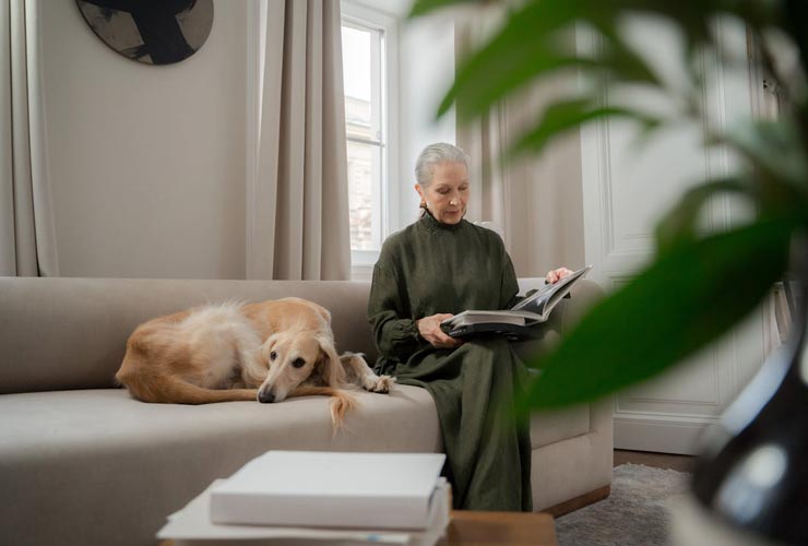 Superbonus animali, da ora ti paga tutto il governo: compri un cane e lo stato salda il conto | Meloni ama gli animali - Circuito Lavoro