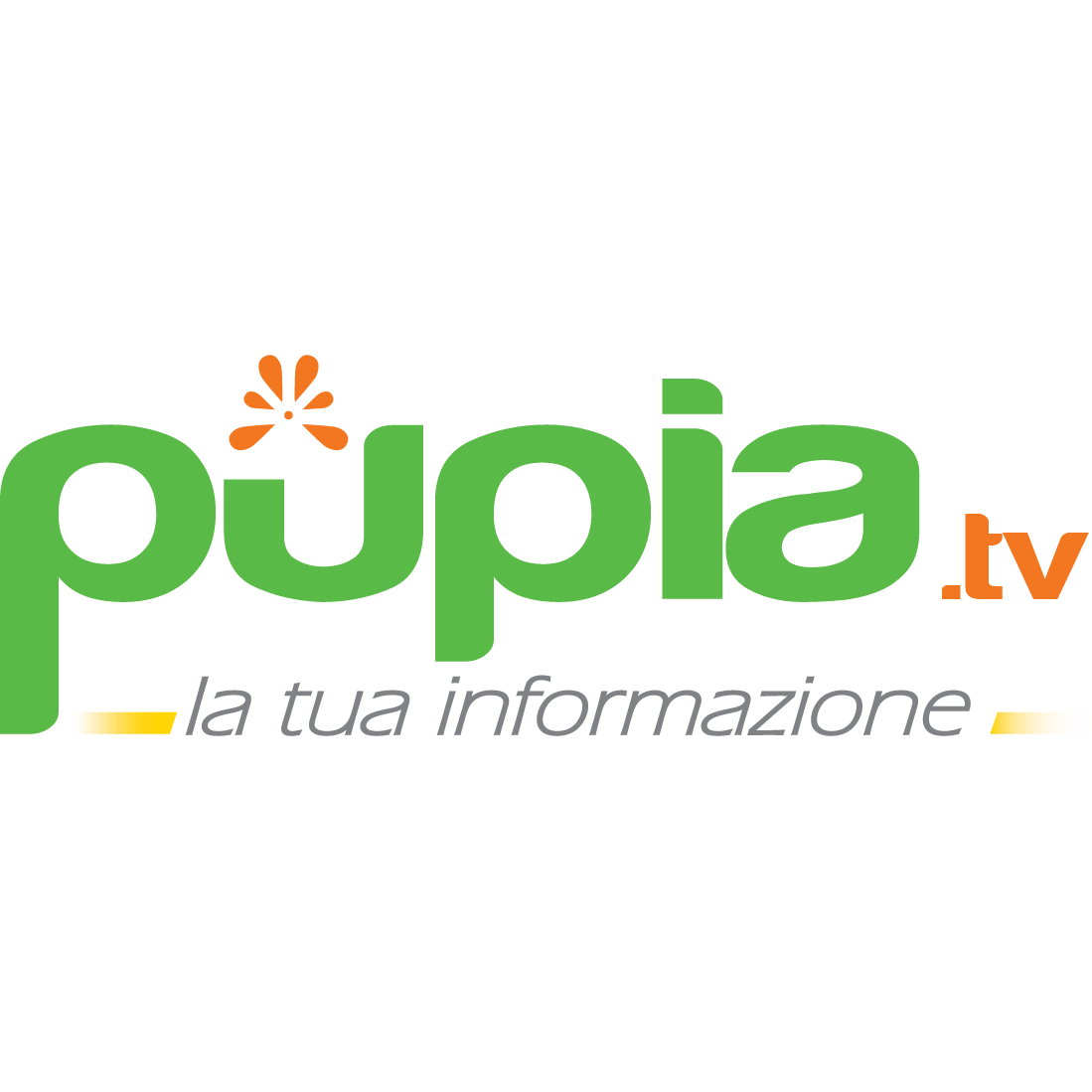 Superbonus e false fatture: 29 arresti e sequestri per 3 milioni tra Campania, Emilia e Lombardia - Pupia.tv