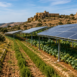 Agrivoltaico: il Consiglio di Stato boccia i vincoli regionali su operatori e superfici